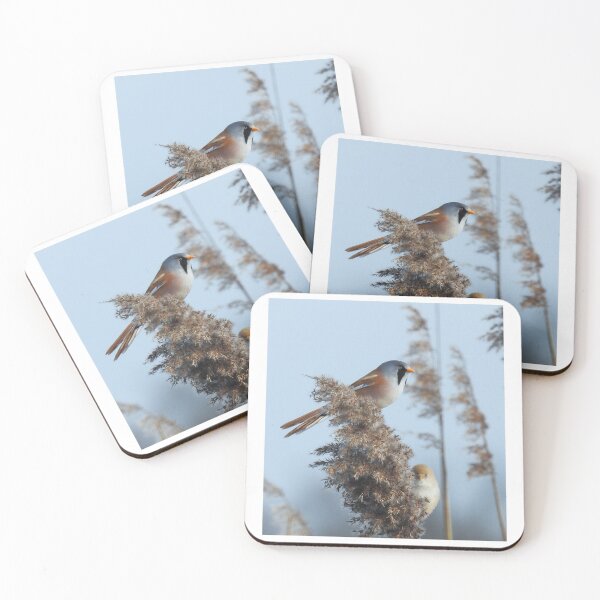 Item preview, Bearded reedlings looking into the camera designed and sold by Anita van Gendt.