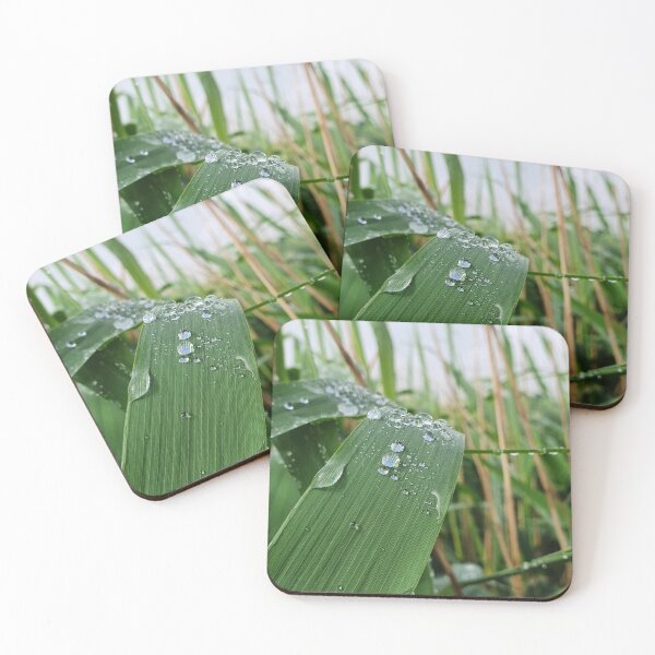 Artikelvorschau, Wassertropfen auf Gras Fotografie entworfen und verkauft von s10-Photography.