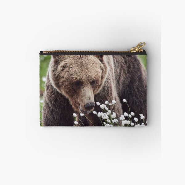 Item preview, Hare's-tail cottongrass and Brown bear 2 designed and sold by Jouko Lehto Photography.