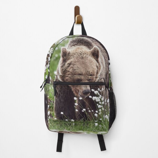 Item preview, Hare's-tail cottongrass and Brown bear 2 designed and sold by Jouko Lehto Photography.