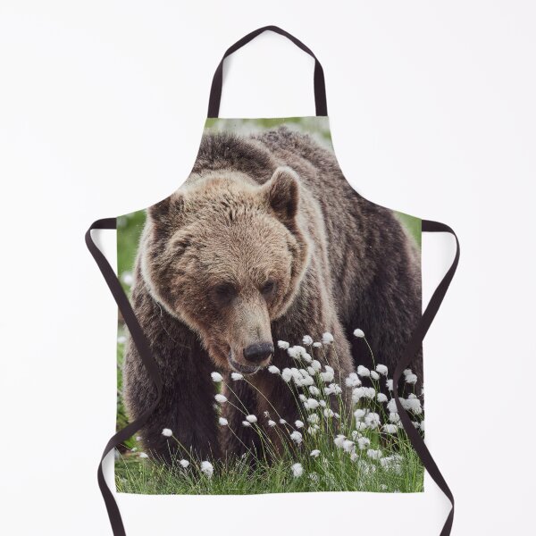 Item preview, Hare's-tail cottongrass and Brown bear 2 designed and sold by Jouko Lehto Photography.