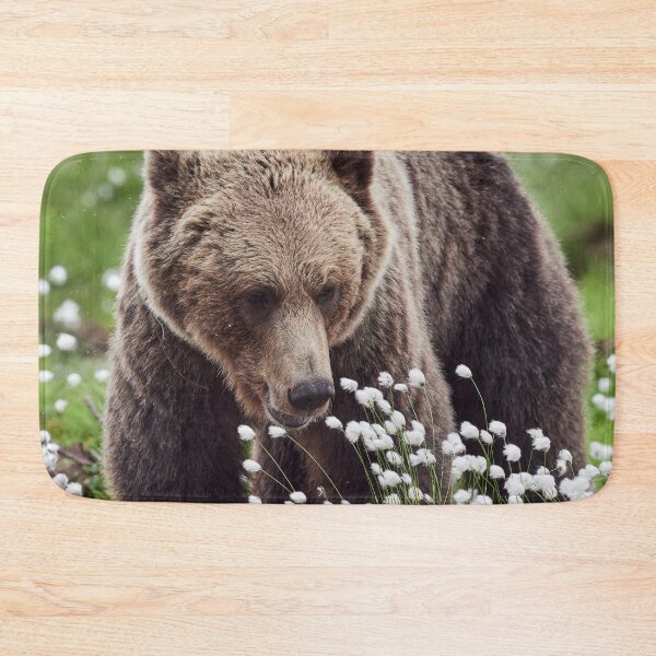 Item preview, Hare's-tail cottongrass and Brown bear 2 designed and sold by Jouko Lehto Photography.