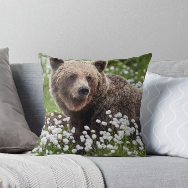 Item preview, Wondering. Hare's-tail cottongrass and Brown bear 3 designed and sold by Jouko Lehto Photography.