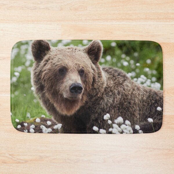 Item preview, Wondering. Hare's-tail cottongrass and Brown bear 3 designed and sold by Jouko Lehto Photography.