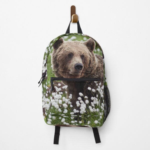 Item preview, Wondering. Hare's-tail cottongrass and Brown bear 3 designed and sold by Jouko Lehto Photography.