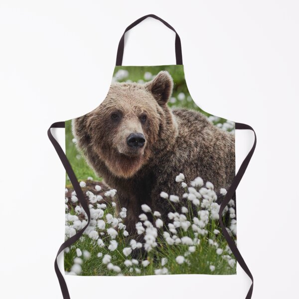Item preview, Wondering. Hare's-tail cottongrass and Brown bear 3 designed and sold by Jouko Lehto Photography.