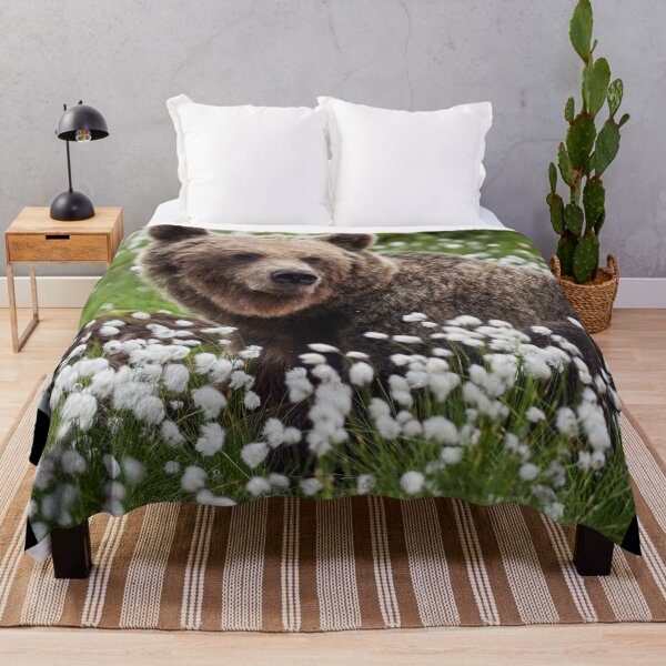 Item preview, Wondering. Hare's-tail cottongrass and Brown bear 3 designed and sold by Jouko Lehto Photography.