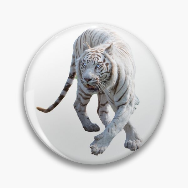 Item preview, white tiger stalking designed and sold by OskiOnTour.