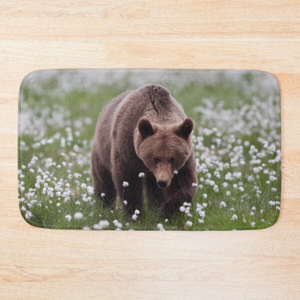 Item preview, Walking on the fields of white cotton. Hare's-tail cottongrass and Brown bear 13 designed and sold by Jouko Lehto Photography.