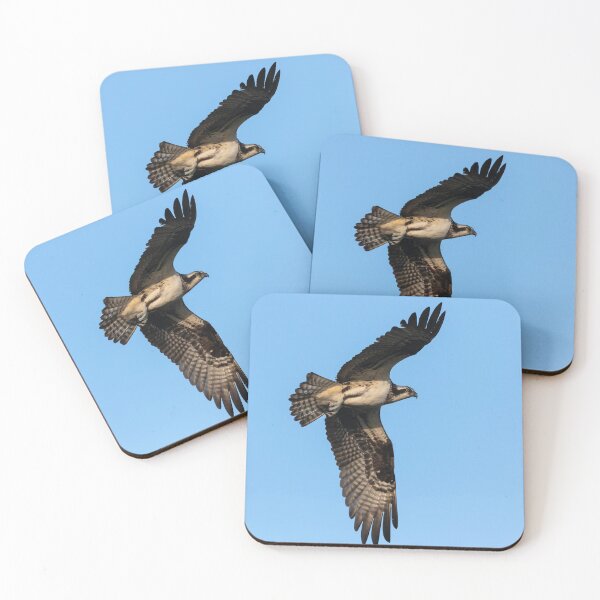 Item preview, Osprey 2021-5 designed and sold by Thomasyoung.