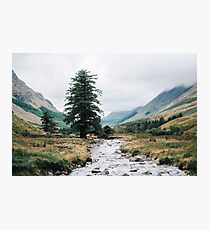 Wild Valley - Lake District Photographic Print