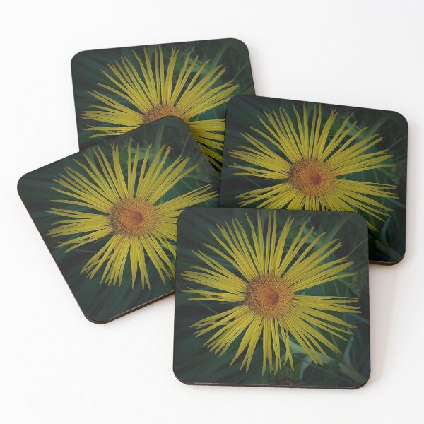 Item preview, Yellow and Orange Elecampane designed and sold by DesignMore21.