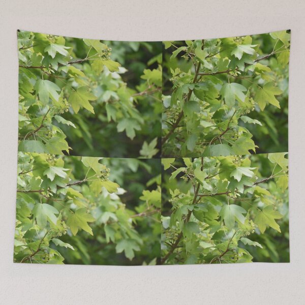 Item preview, Tree Image designed and sold by Meggie-moos.