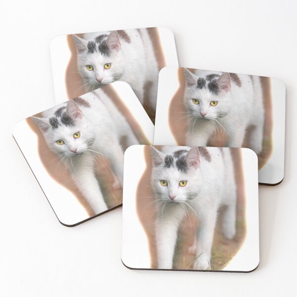 Item preview, cat walk in the evening designed and sold by OskiOnTour.