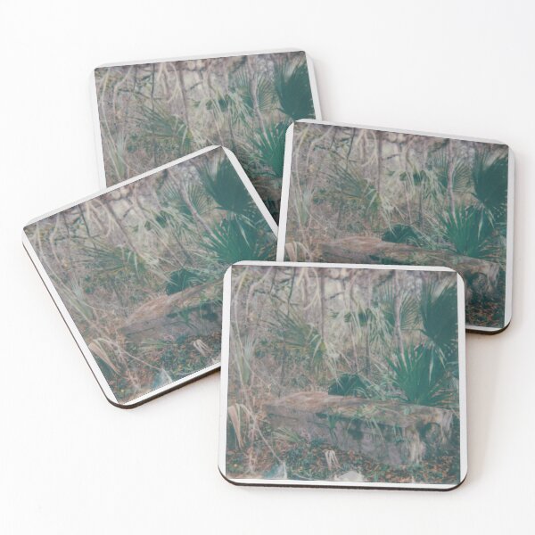Item preview, Lost and forgotten designed and sold by sixbellschime.