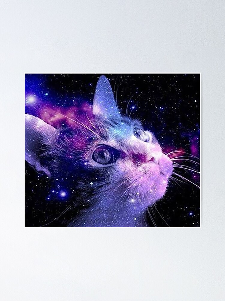 cat in the galaxy