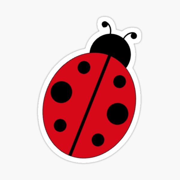 Item preview, Lady Bird designed and sold by kachystore.