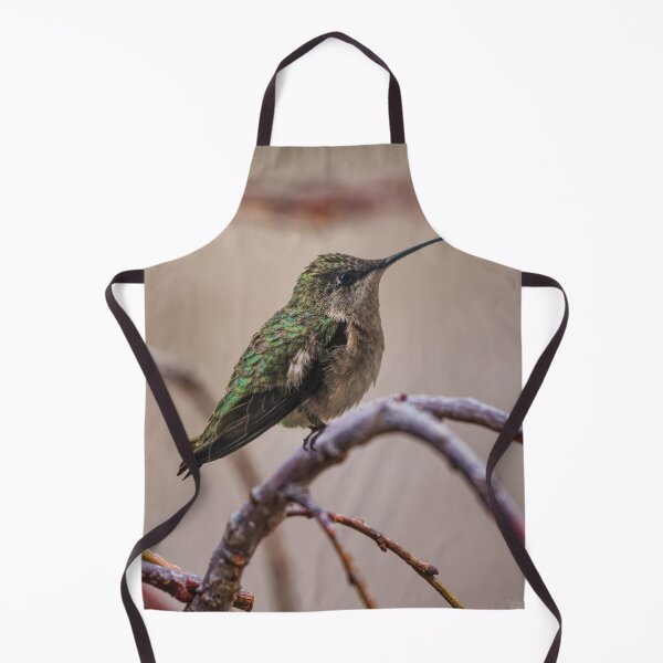 Item preview, Hummingbird and Pussy Willow designed and sold by mljdwhite.