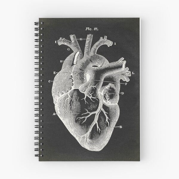 Item preview, Black Heart, Anatomy Poster Vintage Style designed and sold by LeAllureVintage.