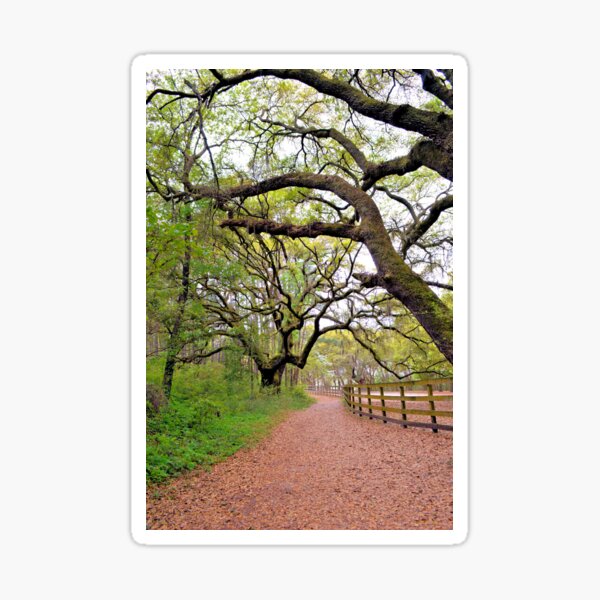 Item preview, The Long And Winding Path designed and sold by What I See by Dawne.