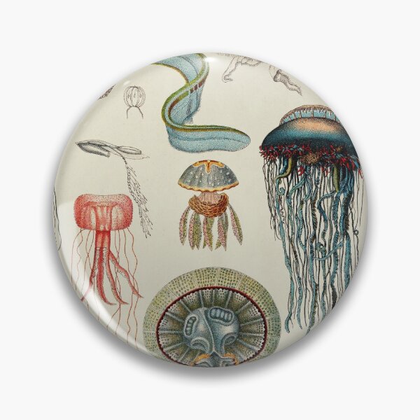 Item preview, Jellyfish, sea jellyfishes designed and sold by LeAllureVintage.