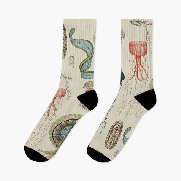 Item preview, Jellyfish, sea jellyfishes designed and sold by LeAllureVintage.