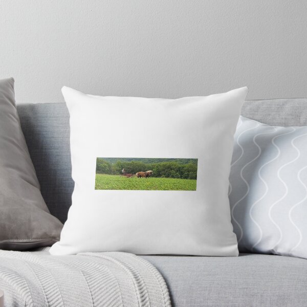 Item preview, Amish Cultivating Corn, Wisconsin designed and sold by Redhead1022.