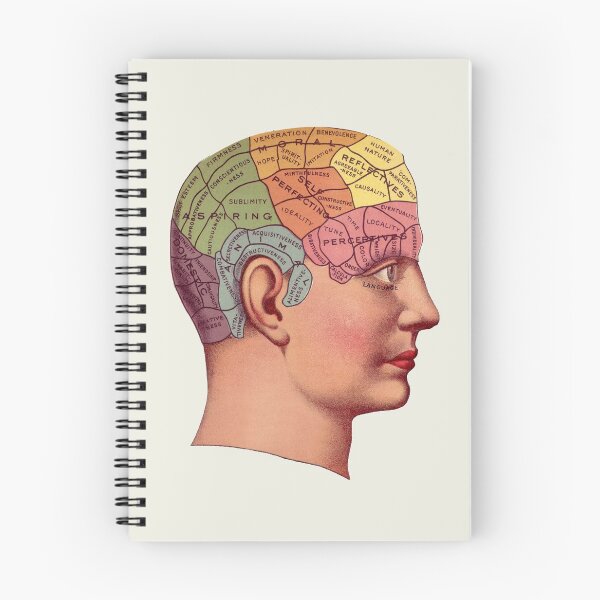 Item preview, Phrenology designed and sold by LeAllureVintage.