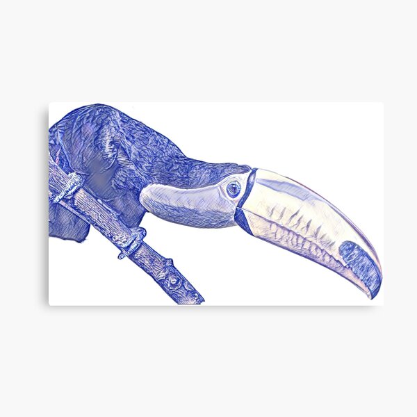 Timid Toucan Metal Print