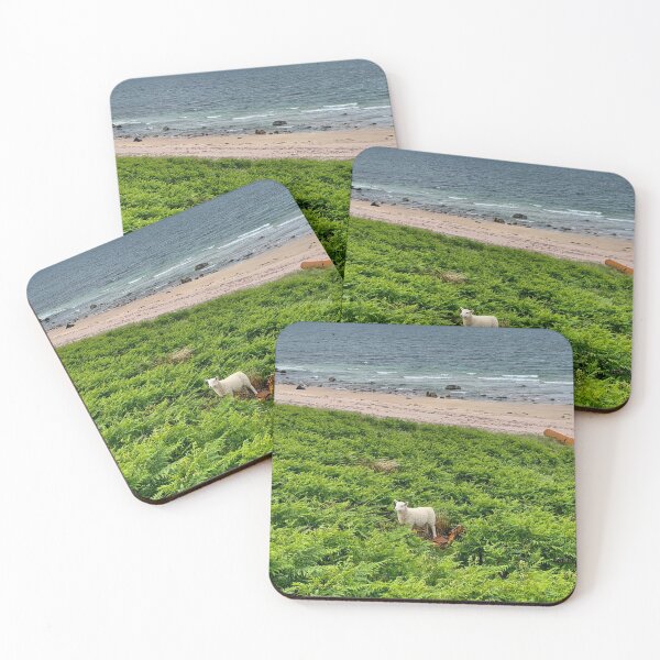 Item preview, Lamb on a beach designed and sold by MPugh23.