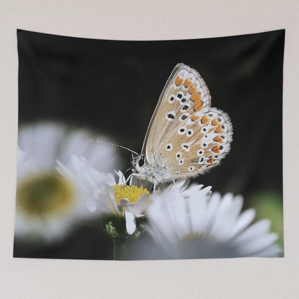 Item preview, r2900 / Finition 2021 - 3 - le Légendaire " Papillon " juin 2021 "  fz 2000 (c)(h) Olavia-Olao Okaio Créations  designed and sold by o.okaïo.