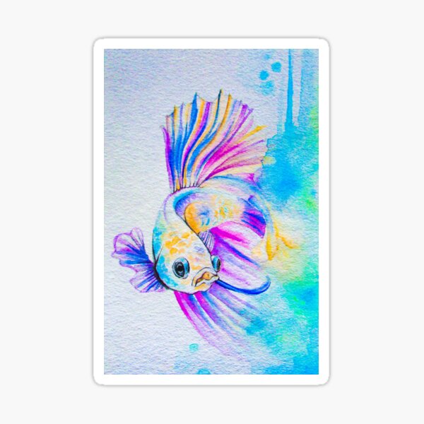 Beta Fish Sticker