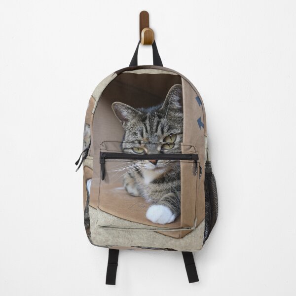 Item preview, cat in a cardboard box designed and sold by pinkal.