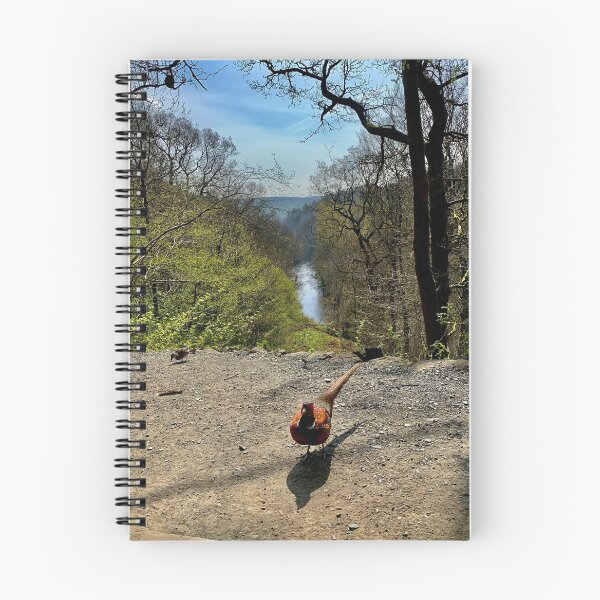 Item preview, View of river Wharfe  designed and sold by MPugh23.