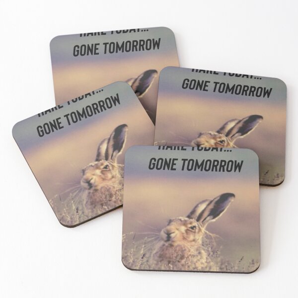 Item preview, Mr. Hare designed and sold by Kidzx6.