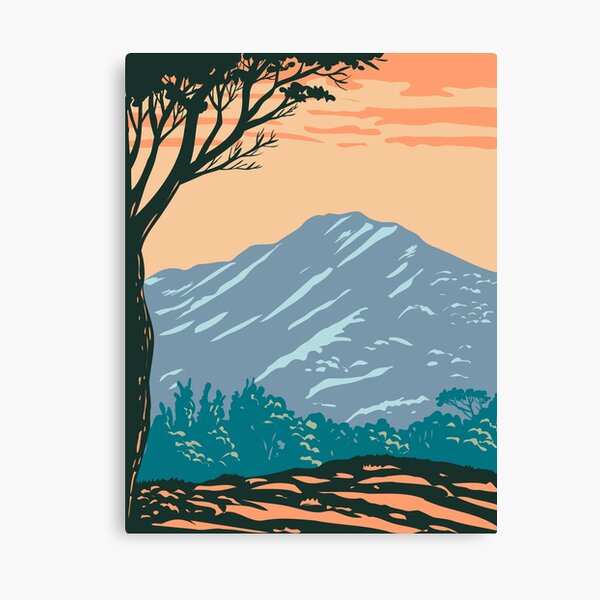Mt Tamalpais State Park Canvas Print