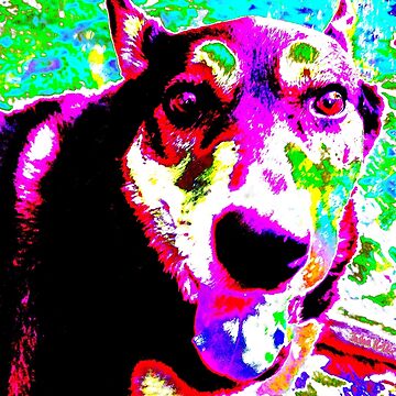 Artwork thumbnail, Pup Commemoration by Joshua Holder