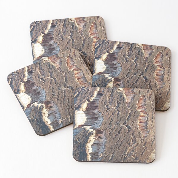 Item preview, Oak Bark, graphic oak tree, photography designed and sold by designymed.