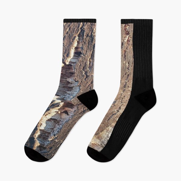 Item preview, Oak Bark, graphic oak tree, photography designed and sold by designymed.