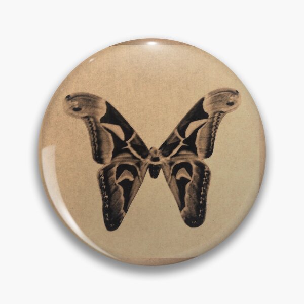 Item preview, Insect collection designed and sold by andiewand.