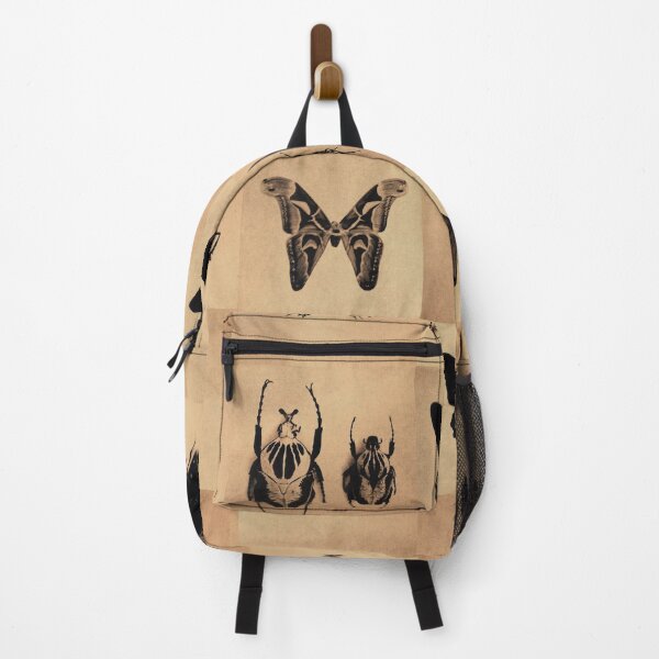 Item preview, Insect collection designed and sold by andiewand.
