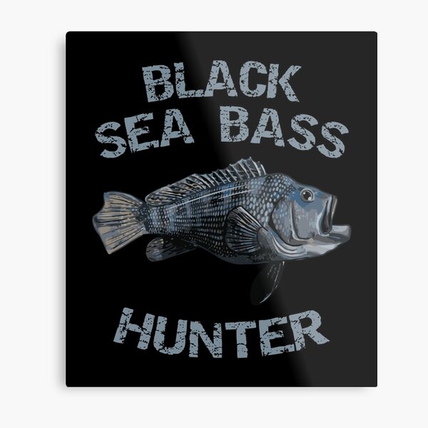 Fishing sport, sea bass and eel fish, tackles and bait posters