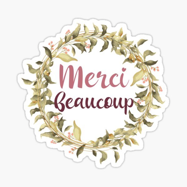 French Thank You So Much Merci Beaucoup Classic Round Sticker