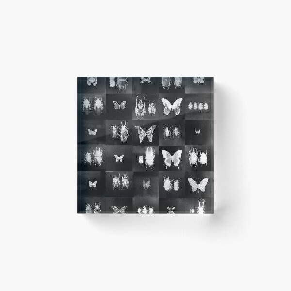 Item preview, Insect collection - black and white designed and sold by andiewand.
