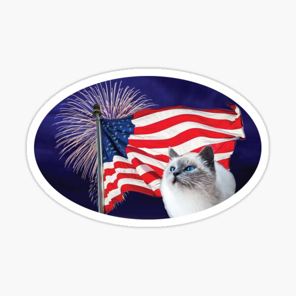Cute Patriotic Cat Sticker