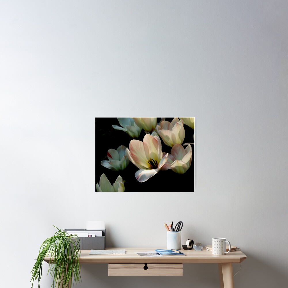 Item preview, Poster designed and sold by Michiale.