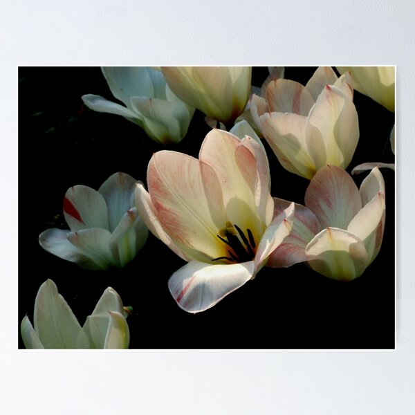 Item preview, Sunlit designed and sold by Michiale.
