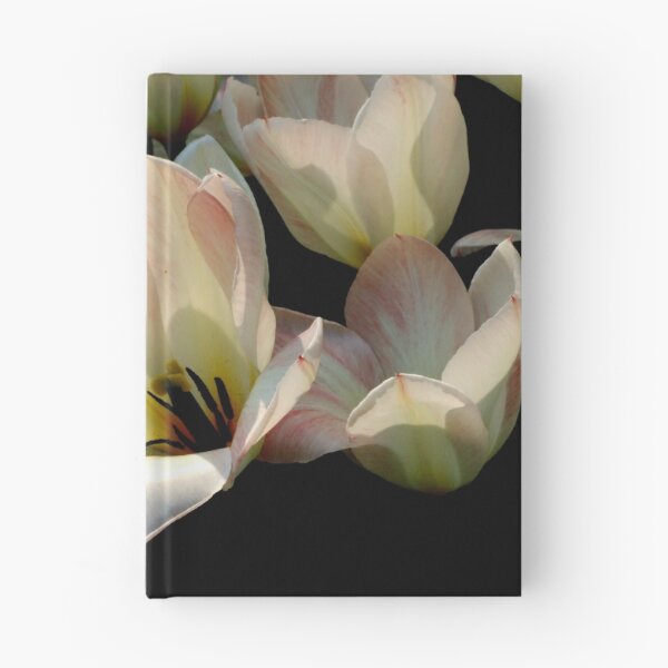 Item preview, Sunlit designed and sold by Michiale.