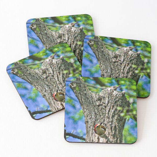 Item preview, Woodpeckers At Home designed and sold by Shelly Gunderson.