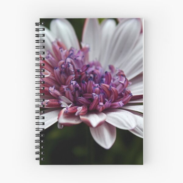 Item preview, Osteospermum designed and sold by Michiale.